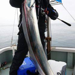 オーフリー 釣果