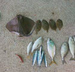 本部釣りイカダ 釣果