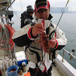 松本釣船２ 釣果