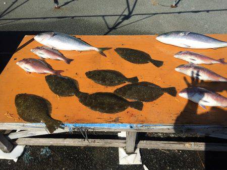 フィッシングパーク錦 釣果