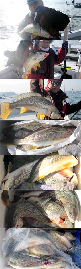 来温丸（らいおんまる） 釣果