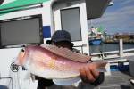 茂吉丸 釣果