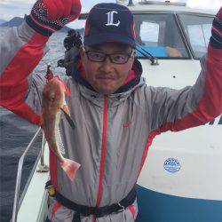 マタウマリンサービス 釣果