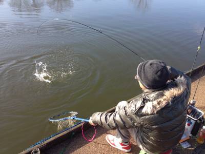 吉羽園 釣果