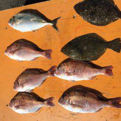 フィッシングパーク錦 釣果