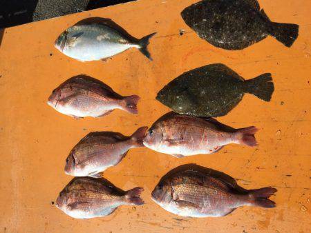 フィッシングパーク錦 釣果