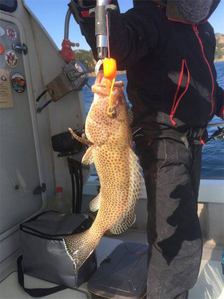 マタウマリンサービス 釣果