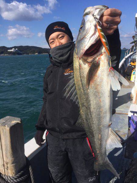 ファイヤードルフィン 釣果