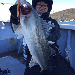 ファイヤードルフィン 釣果