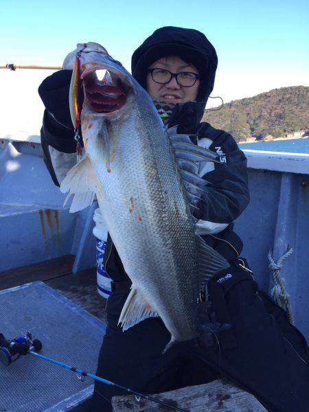 ファイヤードルフィン 釣果