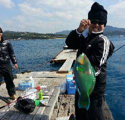 本部釣りイカダ 釣果