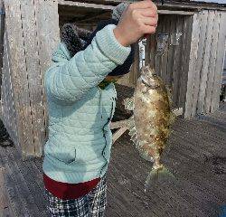 本部釣りイカダ 釣果