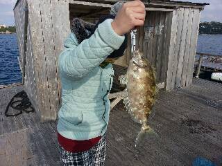 本部釣りイカダ 釣果