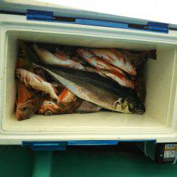 モンロー号 釣果