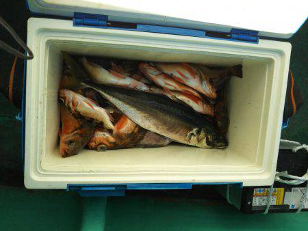 モンロー号 釣果