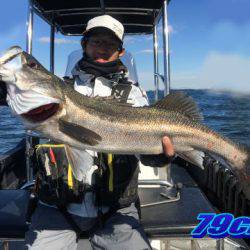 オーシャンマスター 釣果