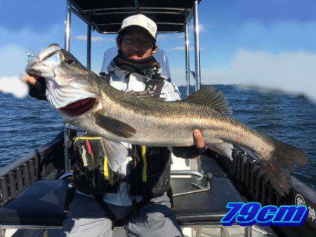 オーシャンマスター 釣果