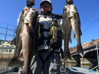 オーシャンマスター 釣果