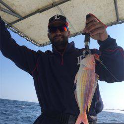 マタウマリンサービス 釣果