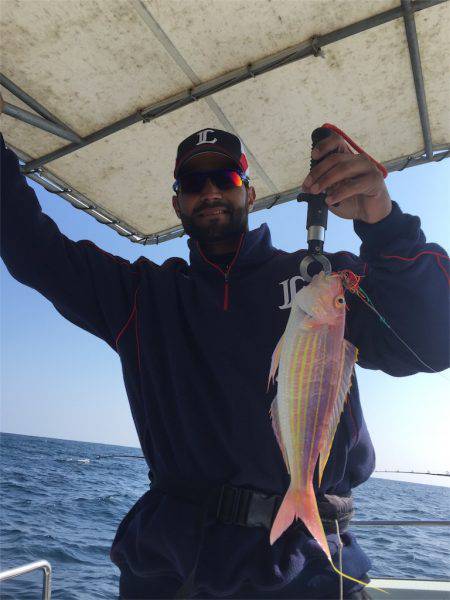 マタウマリンサービス 釣果