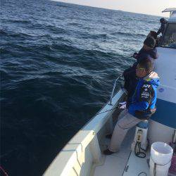 マタウマリンサービス 釣果