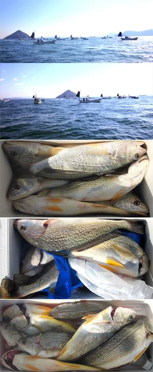 来温丸（らいおんまる） 釣果