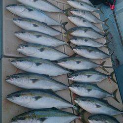 旭星釣りセンター 釣果