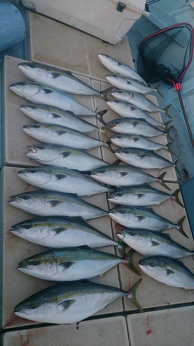 旭星釣りセンター 釣果