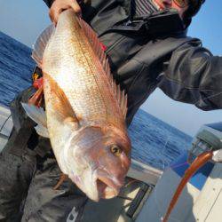 飛燕さくら丸 釣果