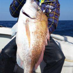 飛燕さくら丸 釣果