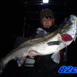 オーシャンマスター 釣果