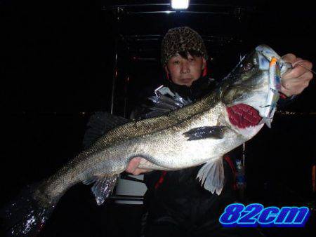 オーシャンマスター 釣果