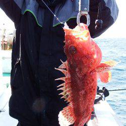 第三むつりょう丸 釣果