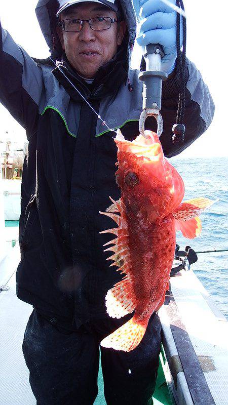 第三むつりょう丸 釣果