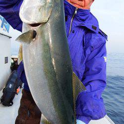 第三むつりょう丸 釣果