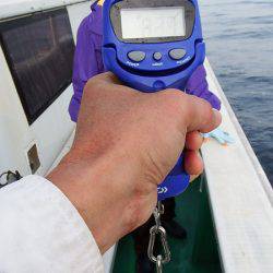 第三むつりょう丸 釣果