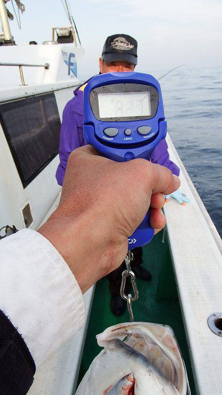 第三むつりょう丸 釣果