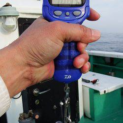 第三むつりょう丸 釣果