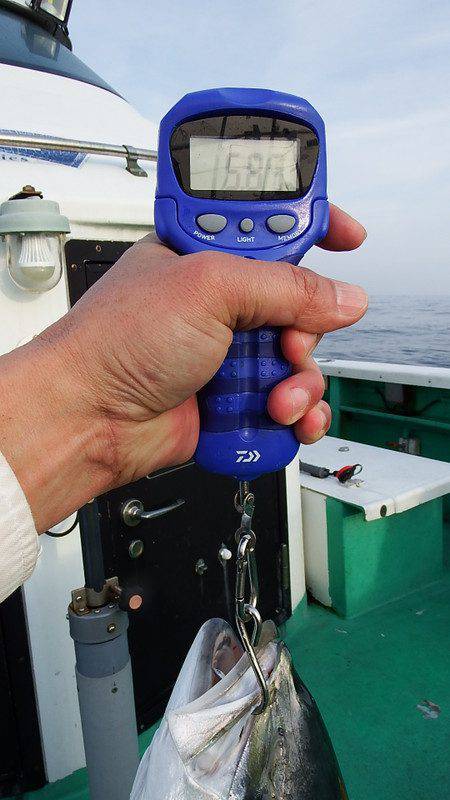 第三むつりょう丸 釣果