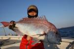 茂吉丸 釣果