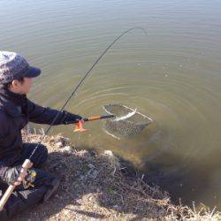 吉羽園 釣果