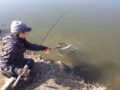 吉羽園 釣果
