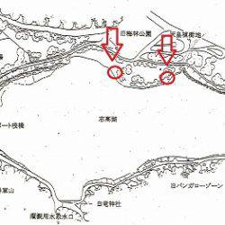 志高湖フィッシング 釣果