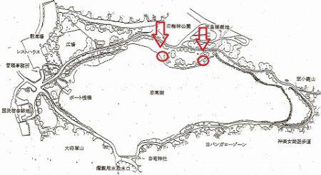 志高湖フィッシング 釣果