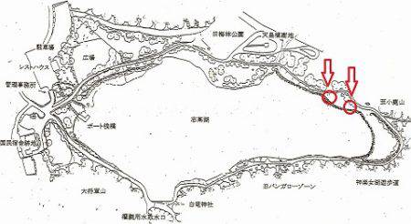 志高湖フィッシング 釣果