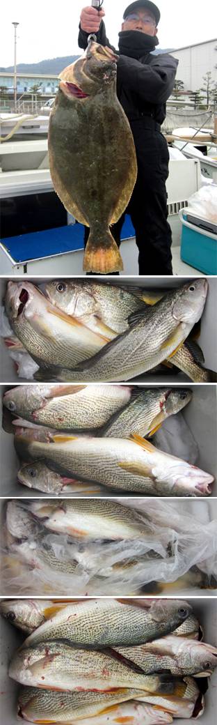 来温丸（らいおんまる） 釣果