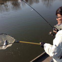 吉羽園 釣果