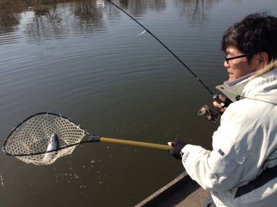 吉羽園 釣果