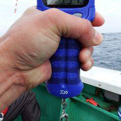 第三むつりょう丸 釣果