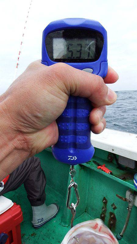 第三むつりょう丸 釣果